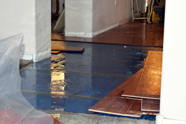 Professional Water Damage Restoration technician working in Marne, MI